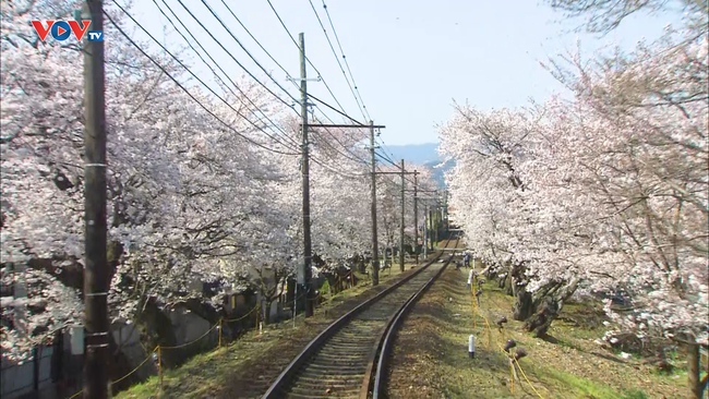 Những Nét Đẹp Vùng Kansai Nhật Bản: Tàu lửa Randen - Ảnh 3.
