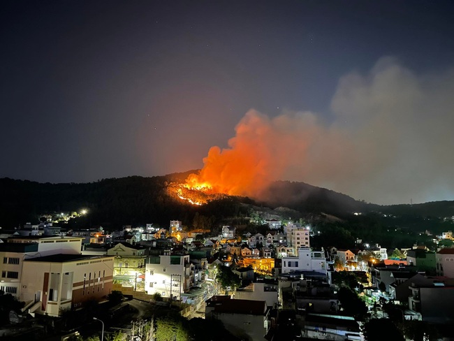 Cháy rừng dữ dội ở Hạ Long, 200 người tham gia dập lửa - Ảnh 1.