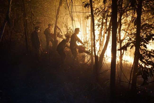 Cháy rừng dữ dội ở Hạ Long, 200 người tham gia dập lửa - Ảnh 2.