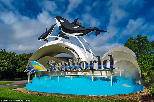 Khám phá công viên SeaWorld có thủy cung lớn nhất thế giới đang thành hình - Ảnh 5.