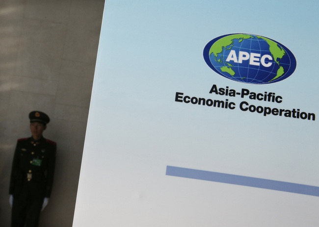 Tăng trưởng kinh tế khu vực APEC được kỳ vọng ổn định vào năm 2022 - Ảnh 1.