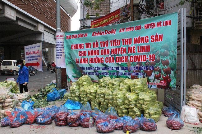 Người dân Thủ đô 'giải cứu' nông sản cho người nông dân huyện Mê Linh - Ảnh 1.
