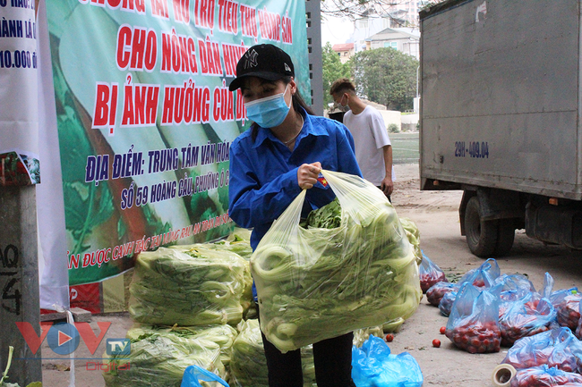 Người dân Thủ đô 'giải cứu' nông sản cho người nông dân huyện Mê Linh - Ảnh 7.