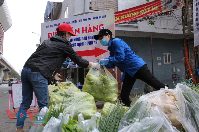 Người dân Thủ đô 'giải cứu' nông sản cho người nông dân huyện Mê Linh - Ảnh 9.