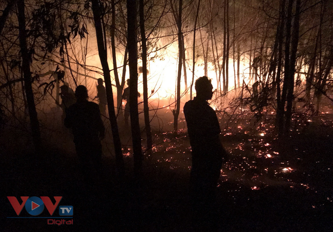 Hơn 100 người dập tắt đám cháy rừng trồng ven biển Quảng Nam - Ảnh 2.