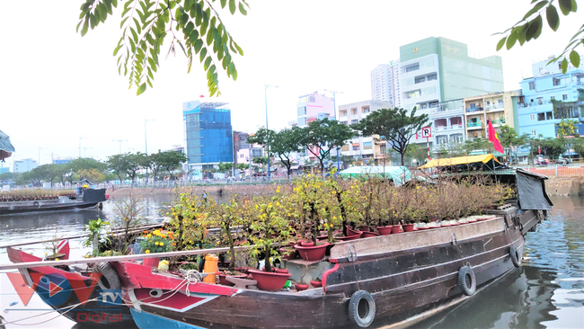 Khai mạc Hội hoa xuân 'Trên bến dưới thuyền' ở TP HCM - Ảnh 1.