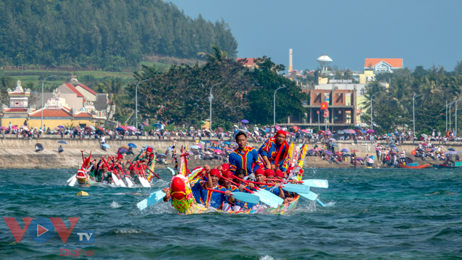 vnjvov Lý Sơn dừng Lễ hội đua thuyền Tứ linh nhằm tránh tập trung đông người.jpg