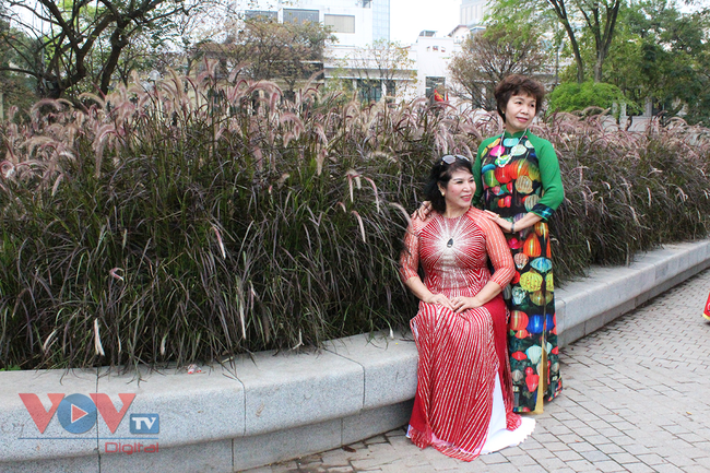Người dân hào hứng 'check-in' tại vườn hoa cỏ lau tím bên hồ Hòa Kiếm - Ảnh 5.
