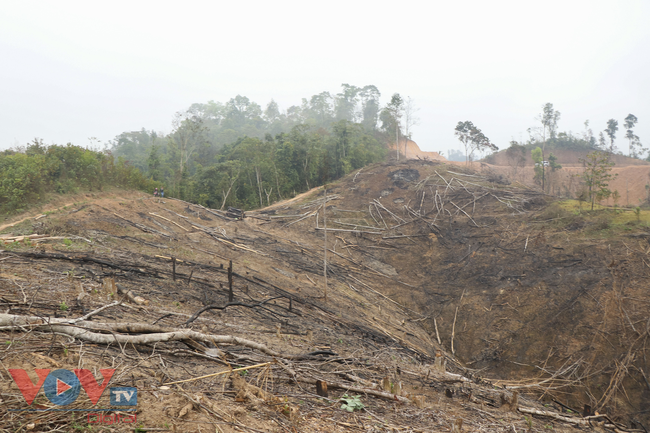 Báo chí phản ánh về tình trạng phá rừng tái sinh ở Nậm Pồ, tỉnh Điện Biên là hoàn toàn chính xác - Ảnh 2.