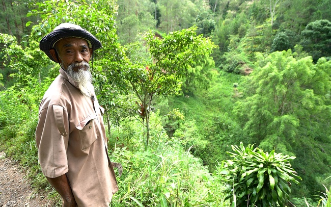Indonesia: Chiến binh sinh thái 69 tuổi vắt kiệt sức lực và tài sản để phủ xanh đồi trọc - Ảnh 1.