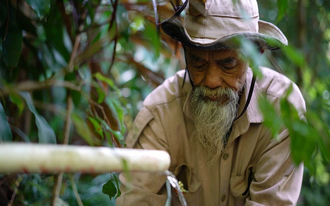 Indonesia: Chiến binh sinh thái 69 tuổi vắt kiệt sức lực và tài sản để phủ xanh đồi trọc - Ảnh 2.