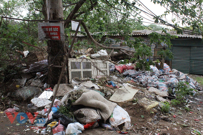Hà Nội: Vẫn tồn tại nhiều bãi rác tự phát trong khu dân cư - Ảnh 8.