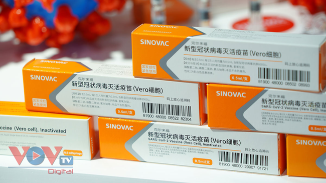 Hong Kong: Một người tử vong sau khi tiêm vaccine Covid-19 của Sinovac - Ảnh 1.
