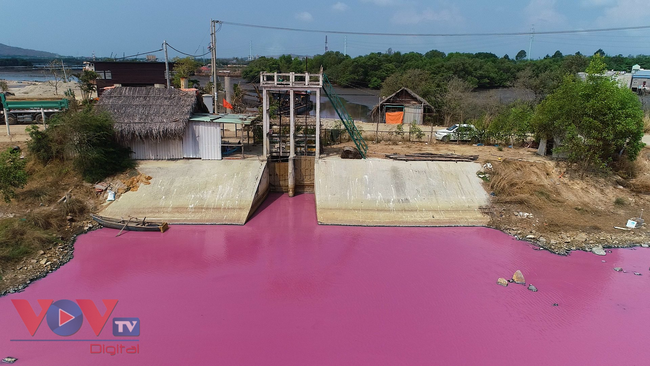 Bà Rịa-Vũng Tàu: Nước thải của doanh nghiệp là nguyên nhân khiến nước cống có màu hồng - Ảnh 1.