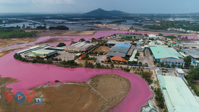 Bà Rịa-Vũng Tàu: Nước thải của doanh nghiệp là nguyên nhân khiến nước cống có màu hồng - Ảnh 3.