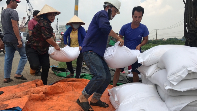 Người dân giúp tài xế gom hơn 50 tấn gạo bị đổ xuống ruộng - Ảnh 2.