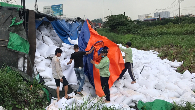 Người dân giúp tài xế gom hơn 50 tấn gạo bị đổ xuống ruộng - Ảnh 3.