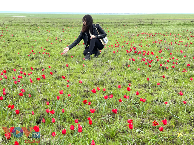 Hoà cùng sắc màu thảo nguyên Kalmykia tại lễ hội hoa tulip - Ảnh 11.