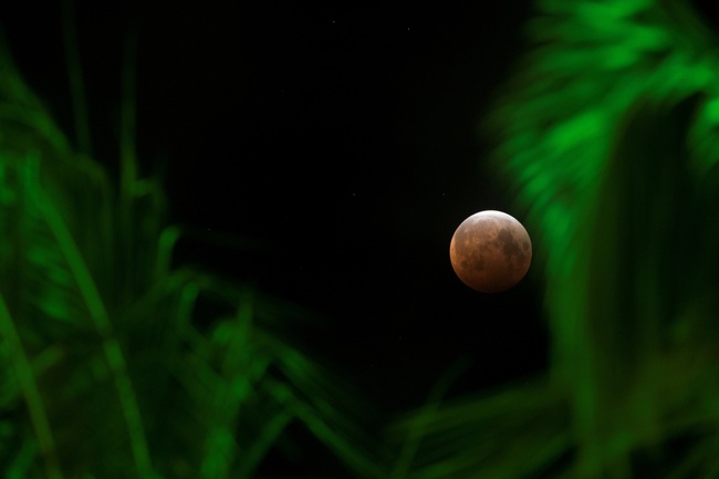 Ngắm 'Siêu trăng máu', hiện tượng thiên văn hiếm có - Ảnh 7.