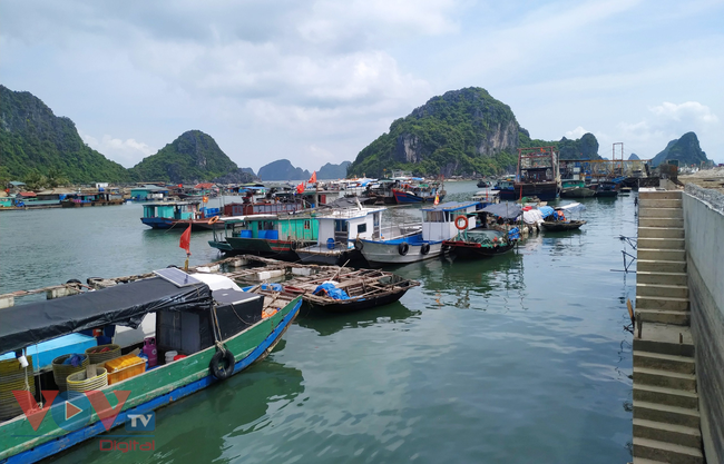 Hơn 8.100 tàu đánh bắt thủy sản của tỉnh Quảng Ninh đã nhận được thông tin về bão số 2.jpg
