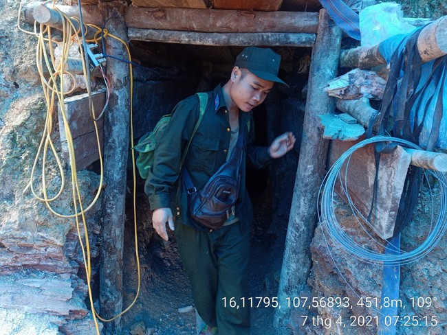 'Cơn lốc vàng' tàn phá rừng phòng hộ Thừa Thiên Huế - Ảnh 7.