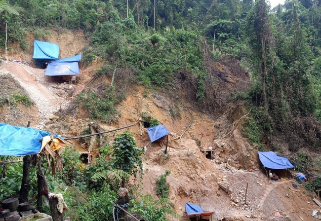 'Cơn lốc vàng' tàn phá rừng phòng hộ Thừa Thiên Huế - Ảnh 6.