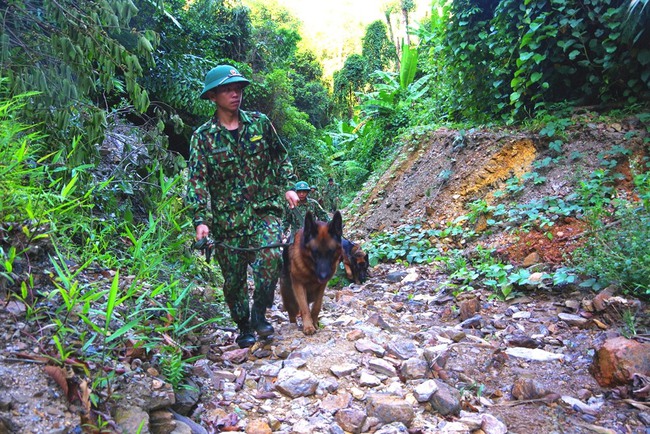 Quảng Nam: Hoàn tất đánh sập 75 hầm khai thác vàng trái phép trong Vườn quốc gia Sông Thanh - Ảnh 2.