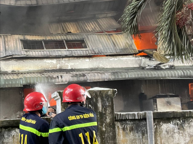 Cháy dữ dội tại công ty hóa chất trong KCN Long Bình, Đồng Nai - Ảnh 2.