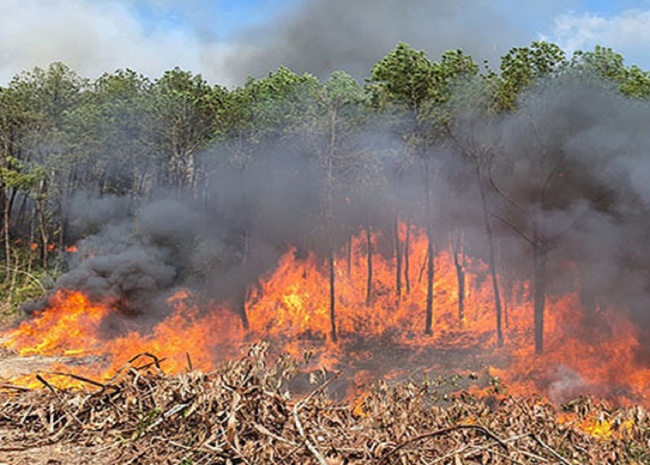 Thừa Thiên Huế: Cháy rừng gần Trạm Kiểm định đạn dược T264-K890 - Ảnh 1.
