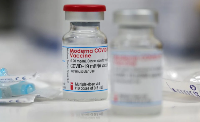 Bộ Y tế phê duyệt có điều kiện vaccine COVID-19 Moderna - Ảnh 2.