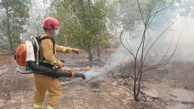 Cháy rừng phòng hộ ven biển ở Quảng Nam - Ảnh 1.