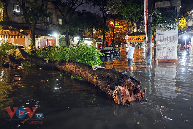 Hà Nội: Nguy cơ mất an toàn từ cây xanh, biển quảng cáo khổ lớn mùa mưa bão - Ảnh 8.