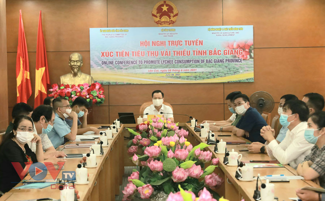 Phó Chủ tịch thường trực UBND tỉnh Lào Cai - Hoàng Quốc Khánh chủ trị hội nghị trực tuyến xúc tiến tiêu thụ vải thiều tại điểm cầu Lào Cai ngày 08-6.jpg
