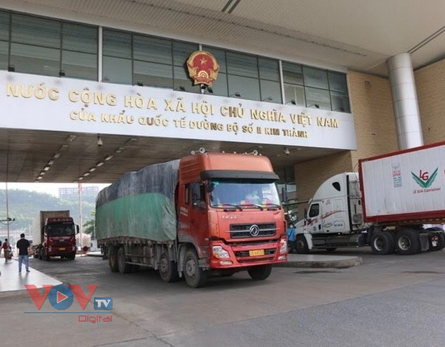 Hằng ngày có khoảng 50 xe tải vận chuyển vải thiều thông quan qua cửa khẩu Kim Thành (Lào Cai).jpg
