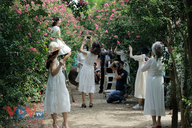 Người dân Thủ đô không đeo khẩu trang, tụ tập 'sống ảo' tại Công viên thực vật cảnh Việt Nam - Ảnh 2.