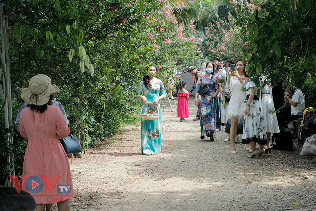 Người dân Thủ đô không đeo khẩu trang, tụ tập 'sống ảo' tại Công viên thực vật cảnh Việt Nam - Ảnh 5.