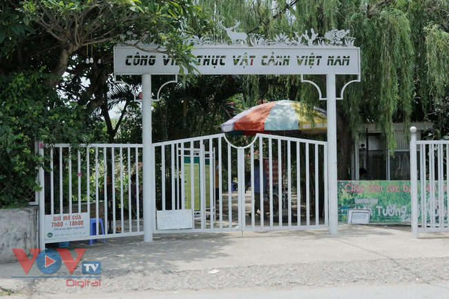 Người dân Thủ đô không đeo khẩu trang, tụ tập 'sống ảo' tại Công viên thực vật cảnh Việt Nam - Ảnh 8.