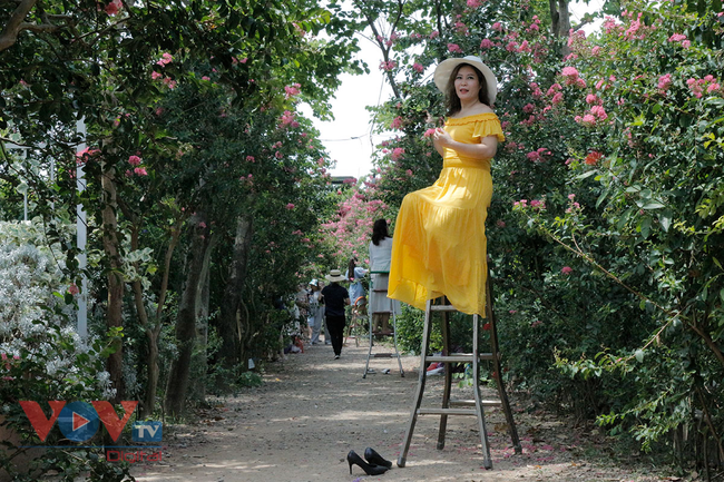 Người dân Thủ đô không đeo khẩu trang, tụ tập 'sống ảo' tại Công viên thực vật cảnh Việt Nam - Ảnh 17.