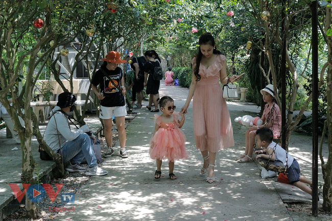 Người dân Thủ đô không đeo khẩu trang, tụ tập 'sống ảo' tại Công viên thực vật cảnh Việt Nam - Ảnh 19.