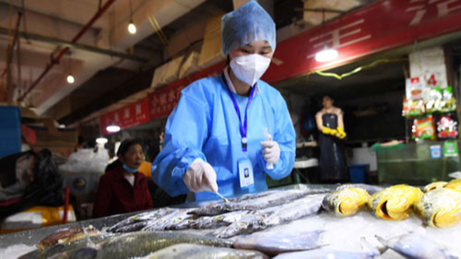 Hong Kong phát hiện cá nhập khẩu nhiễm SARS-CoV-2 - Ảnh 1.