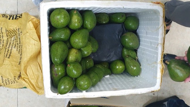 Hà Nội: Phát hiện xe 'luồng xanh' ngụy trang hoa quả để vận chuyển 10 bánh heroin và gần 5kg ma túy đá - Ảnh 1.