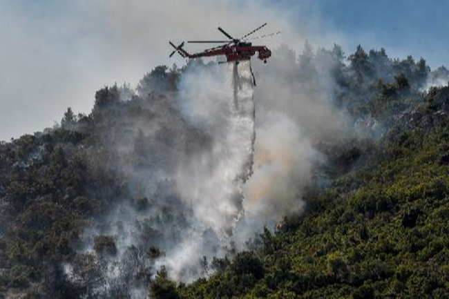Hy Lạp: Hơn 56.000 hecta rừng bị tàn phá chỉ trong 10 ngày - Ảnh 1.