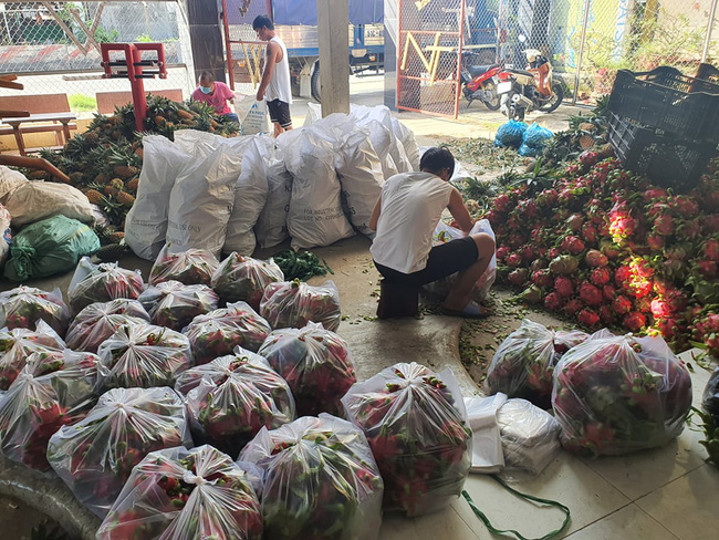 Tiền Giang: Hỗ trợ hơn 100 tấn nông sản đến TP.HCM - Ảnh 1.