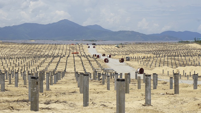 Bình Định: Thi công điện mặt trời &quot;phá nhầm&quot; hơn 5ha rừng phòng hộ - Ảnh 3.