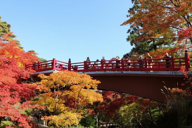 Công viên Yahiko mùa lá đỏ - Ảnh 2.