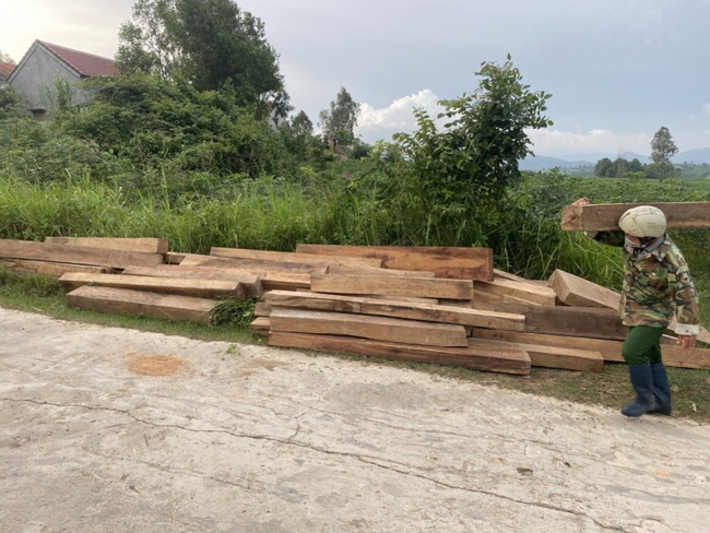 Phát hiện 155 khúc gỗ không rõ nguồn gốc tại nhà nhân viên BQL rừng phòng hộ Sơn Hòa - Ảnh 1.