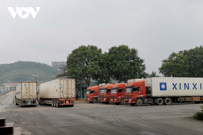 Thanh long nối lại xuất khẩu qua Lào Cai sau gần 5 tháng tạm dừng - Ảnh 2.