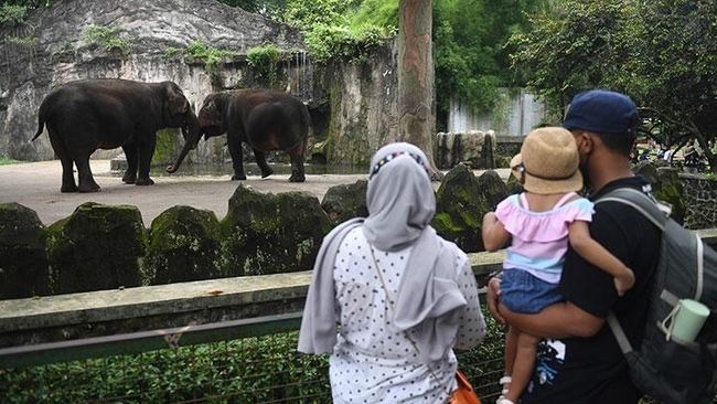 Indonesia: Số ca nhiễm Omicron tăng gấp đôi trong ngày đầu năm - Ảnh 2.