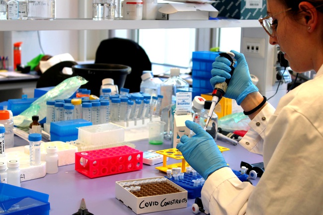 Phát triển bộ xét nghiệm COVID-19 mới có mức độ chính xác tương đương phương pháp PCR - Ảnh 1.