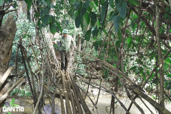 Khám phá thác Rơ Tu nằm ẩn sâu trong rừng xanh Gia Lai - Ảnh 4.